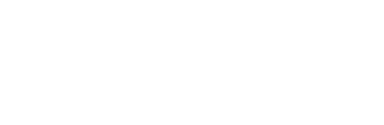 Raise Logistics Logo